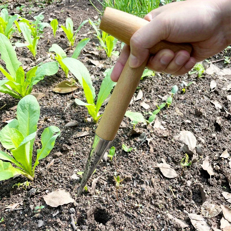 1pc Sowing, transplanting, and topdressing tools, stainless steel and wooden handle hole digger