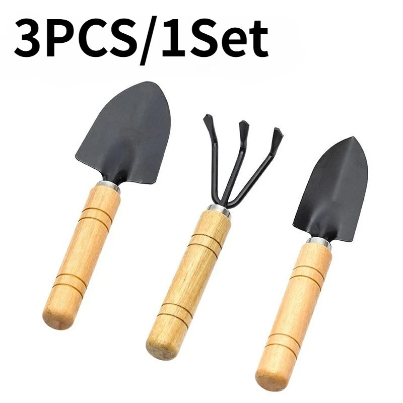 529816723-2