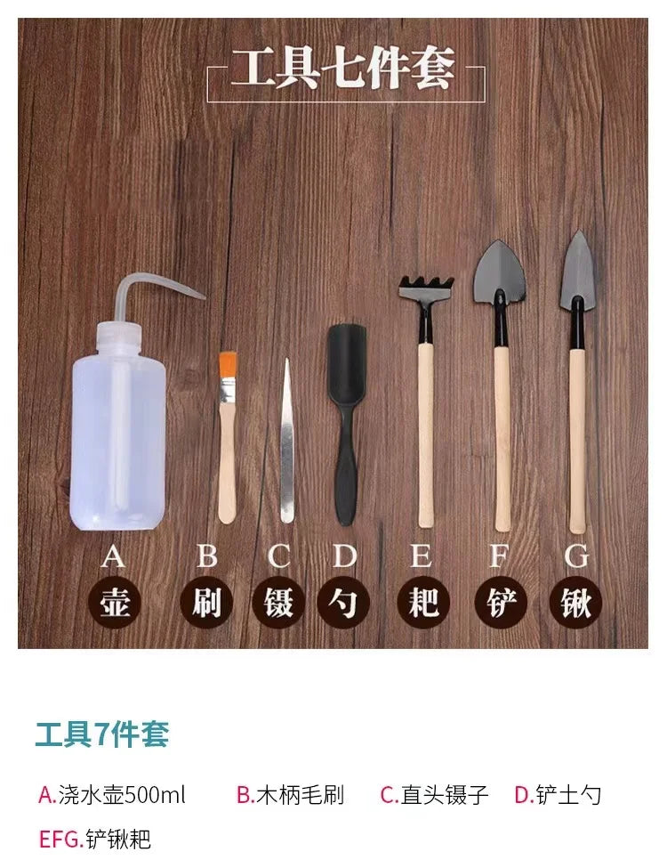 1 Set Garden Succulent Kits Indoor Mini Hand Gardening Tool , for Bonsai Planter Miniature Fairy Planting Care Hand Tools Set