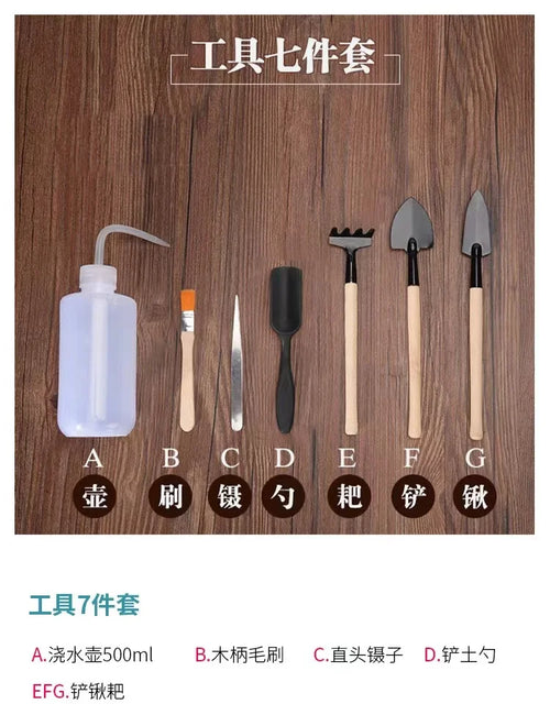 1 Set Garden Succulent Kits Indoor Mini Hand Gardening Tool , for Bonsai Planter Miniature Fairy Planting Care Hand Tools Set